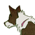:icona-s-rich: