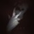 :icona-salieri: