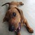 :icona-simple-writer: