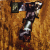 :icona-sinner-saint: