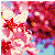 :icona-tightrope-dancer: