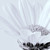 :icona-us974:
