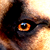 :icona-x-l: