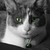 :icona-yanezq: