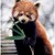 :iconaaaphotography: