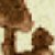 :iconaads: