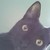 :iconaahawley: