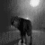 :iconaakarshan-phoenix: