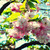 :iconaalmansouri: