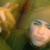 :iconaalmar:
