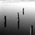 :iconaambiencemonotone: