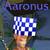:iconaaronhong: