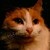 AaronNSN :iconaaronnsn: