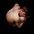 :iconaaronsnude: