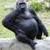 :iconaaronzimmermann:
