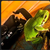 :iconaaroswings: