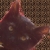:iconaasterinianhime: