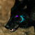 :iconaatuin: