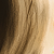 :iconaavirus: