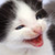 abagal :iconabagal: