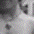 :iconabagatelle: