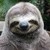 :iconabaum510: