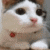 :iconabbiet: