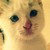 :iconabbyloya: