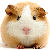 :iconabdka5: