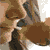 :iconabelhinhax: