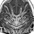 :iconabenes: