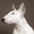 :iconaberdine:
