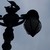 :iconabergavenny: