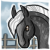 :iconabhorsen-cs: