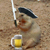 :iconabhorsen88: