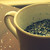 :iconabigailflowers: