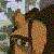 :iconabigal365: