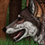 :iconabluefire: