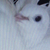 :iconabominationcreations: