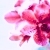 :iconabove-all-love: