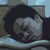 :iconabqorian: