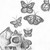 :iconabreakinthemonotony: