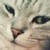:iconabstergosauce: