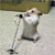 :iconabstract-visionz:
