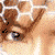 :iconabstractartistic: