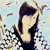 :iconabstractcompliment: