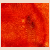 :iconabstractionist: