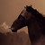 :iconabstractk-9: