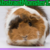 :iconabstractmonster12: