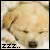 :iconabstrctthoughts: